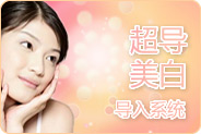 超导美白导入系统