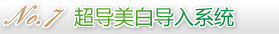 超导美白导入系统