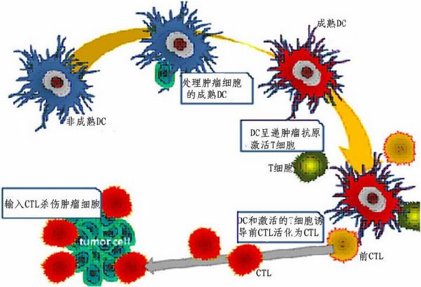 肺癌的常规治疗方法有哪些？