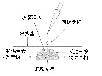 肺癌有哪些非常规的治疗手段