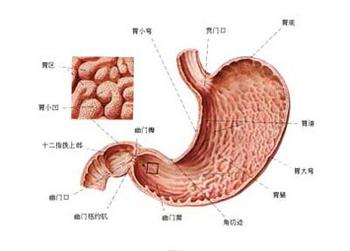 老年人如何预防高位胃癌？