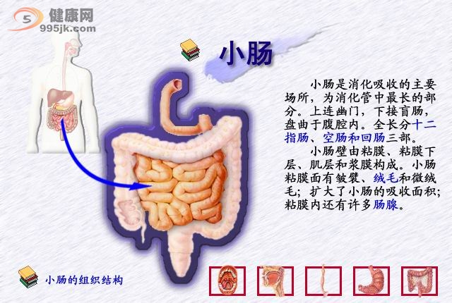 小肠肿瘤的治疗有什么方法