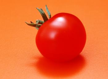 西红柿可用于治疗前列腺癌