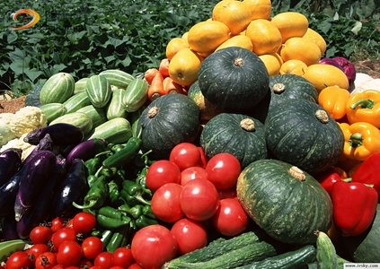 吃蔬菜能预防食道癌吗