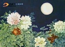 《花好月圆》