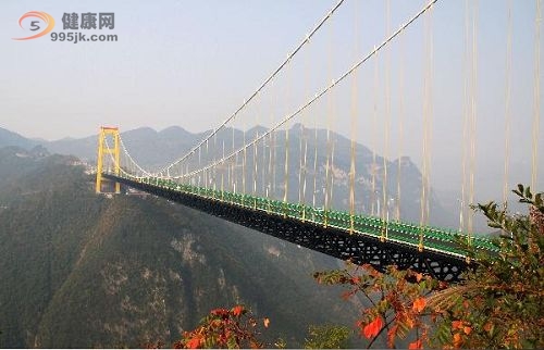 见证奇迹：沪蓉西四渡河特大桥即将竣工