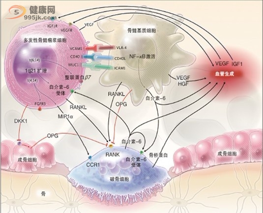 脊柱肿瘤的转归