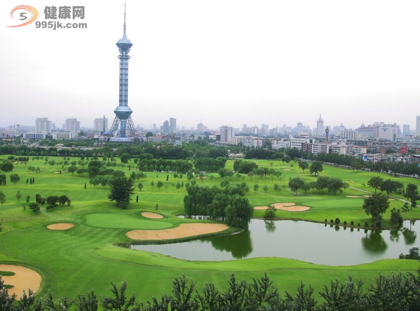 前三季度石家庄市多项经济数据稳中趋升