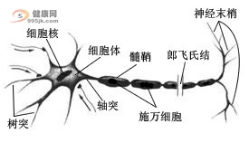 电磁效应复瘫疗法