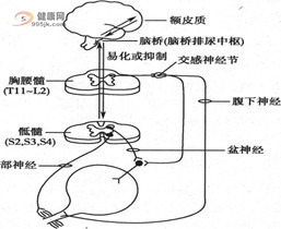 电磁效应复瘫疗法2