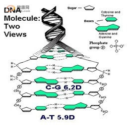 电磁效应复瘫疗法3