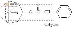 一粒含化消癌疗法3