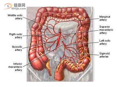 结肠癌患者发生急性肠梗阻如何治疗