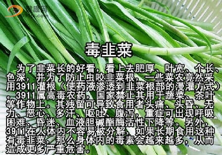 青岛毒韭菜事件：无辜菜农因毒韭菜受损