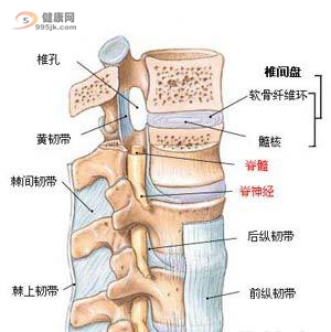 你吻合以下脊髓炎症状吗?