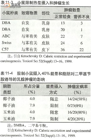 小鼠限制热生摄入和肿瘤生长。限制小鼠摄入40%能员和脂肪对二甲基爷胺诱导的乳腺肿瘤的影晌