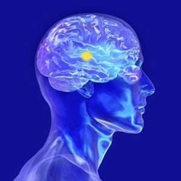 患有恶性脑肿瘤能不能治好?
