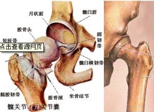 采用中医治疗股骨头坏死效果好不好？