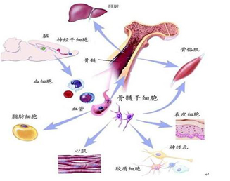 急性截瘫的病因