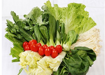 抗癌蔬菜