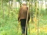 40年间九旬老人种树57万余棵