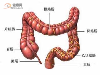 导致大肠癌形成的因素