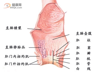 直肠癌的检查诊断