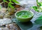 药茶巧治生活小病