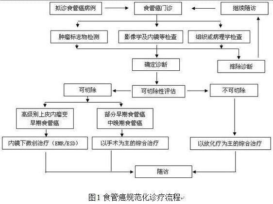 食管癌诊断与治疗的一般流程