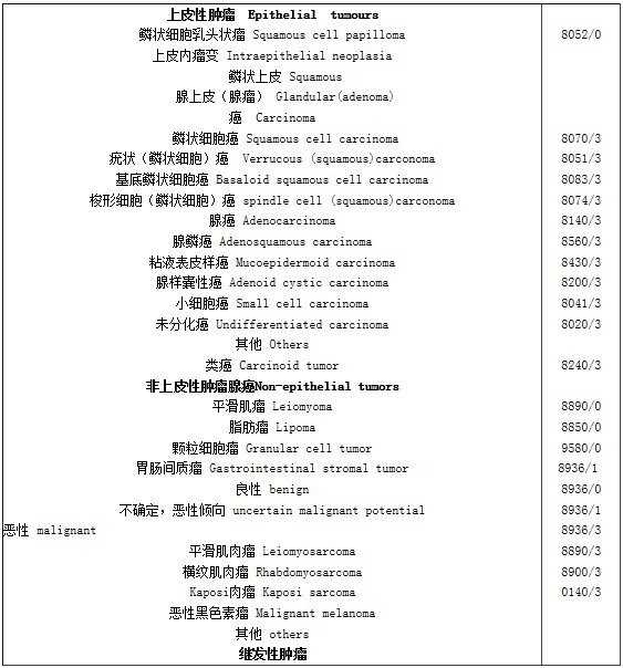 WHO食管癌组织学分类（2000）