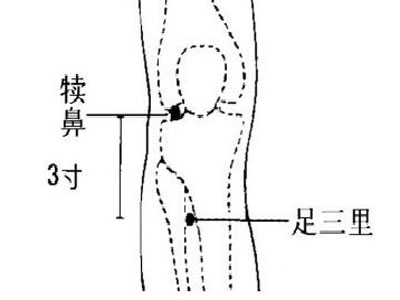 蜂疗法治疗多种疾病发挥三位一体的效果