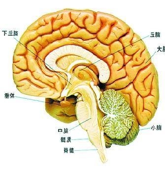 脑瘤中期有什么症状表现