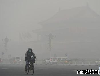 世卫首次认定大气污染可致癌