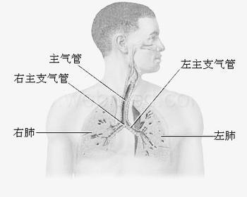 引起肺癌晚期呕吐的原因是什么