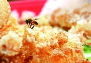 河北哪家医院治疗肿瘤效果最好 
