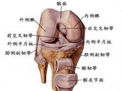 治疗骨癌最好的医院 