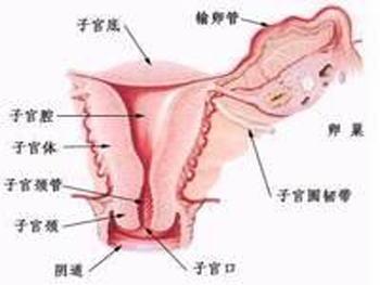 宫颈癌的早期症状表现