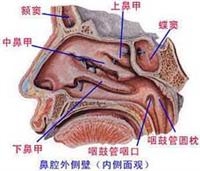 鼻咽癌肝转移可治愈吗?