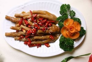 再生障碍性贫血病人如何饮食
