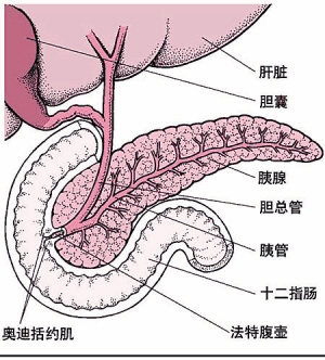 胰腺癌晚期临死症状