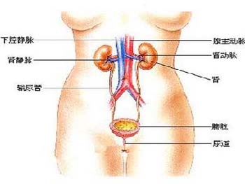 IGA肾病家庭护理方案