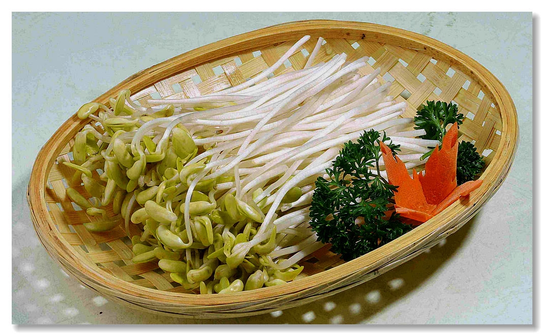 脊髓损伤吃什么好