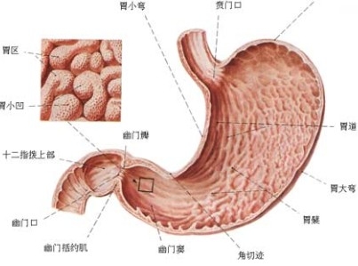 胃癌的并发症有哪些