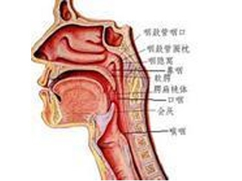 鼻咽癌肝转移该如何治疗