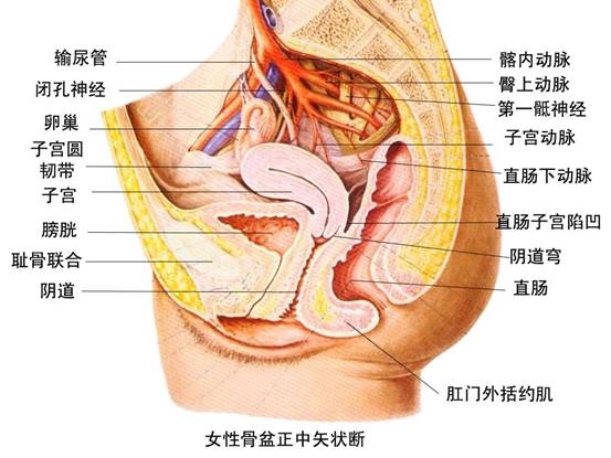 直肠癌骨转移的症状