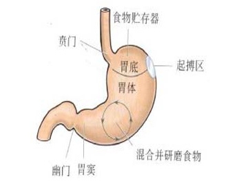 胃癌肝转移如何治疗