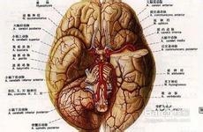 成人癫痫病的症状分为哪几个时期
