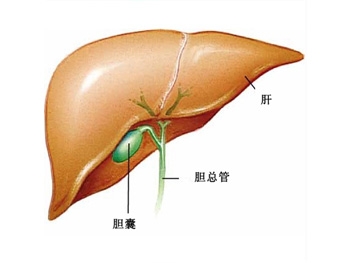 胆囊炎一般多久能治好