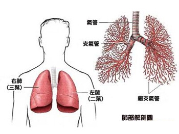 如何防止癌症发生转移扩散