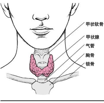 甲状腺癌的治疗方法有哪些